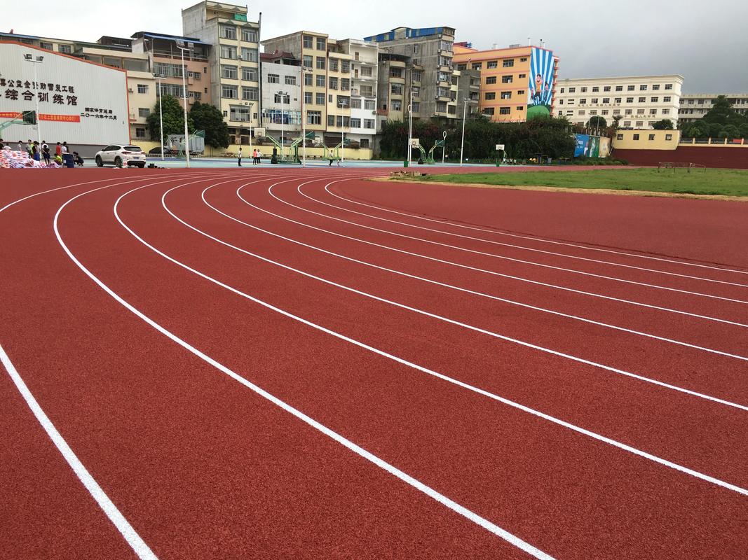 东方市塑胶跑道材料塑胶跑道材料 - 排名